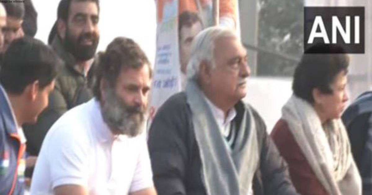 Amid Bharat Jodo Yatra in Karnal, Rahul Gandhi watches Kabbadi match